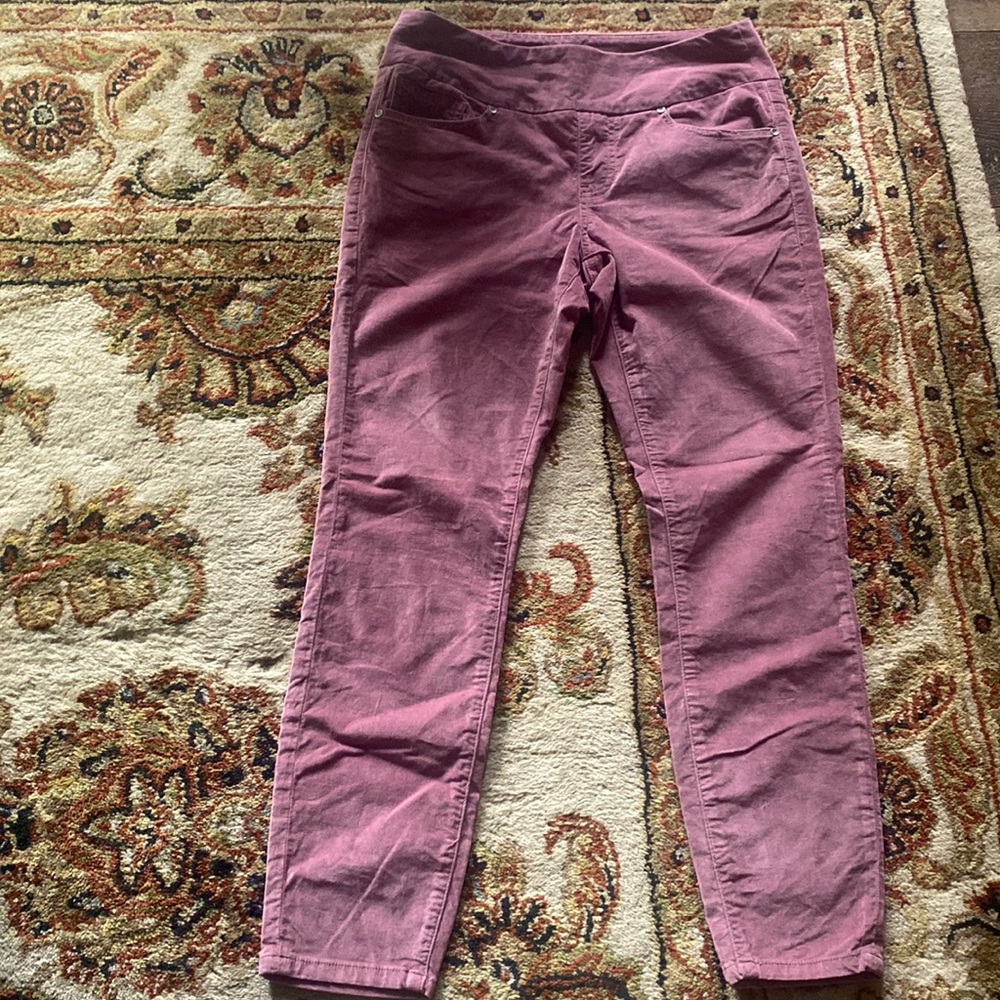 Jag Dusty Rose Velvet Fitted Pants-8 (Boston Proper Catalog)